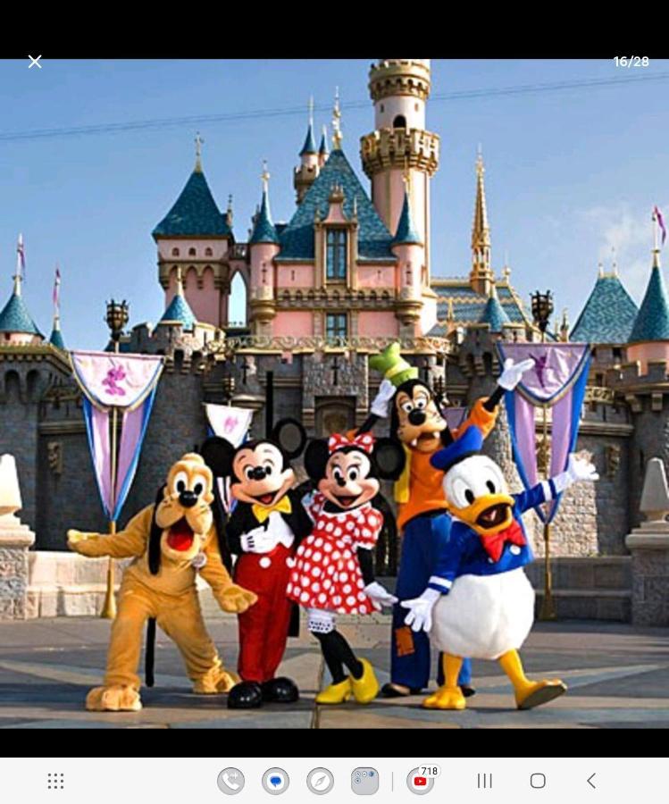 Appartement Jungle House Avec Jacuzzi A 10 Min De Disneyland -taille Chambre- Conde-Sainte-Libiaire